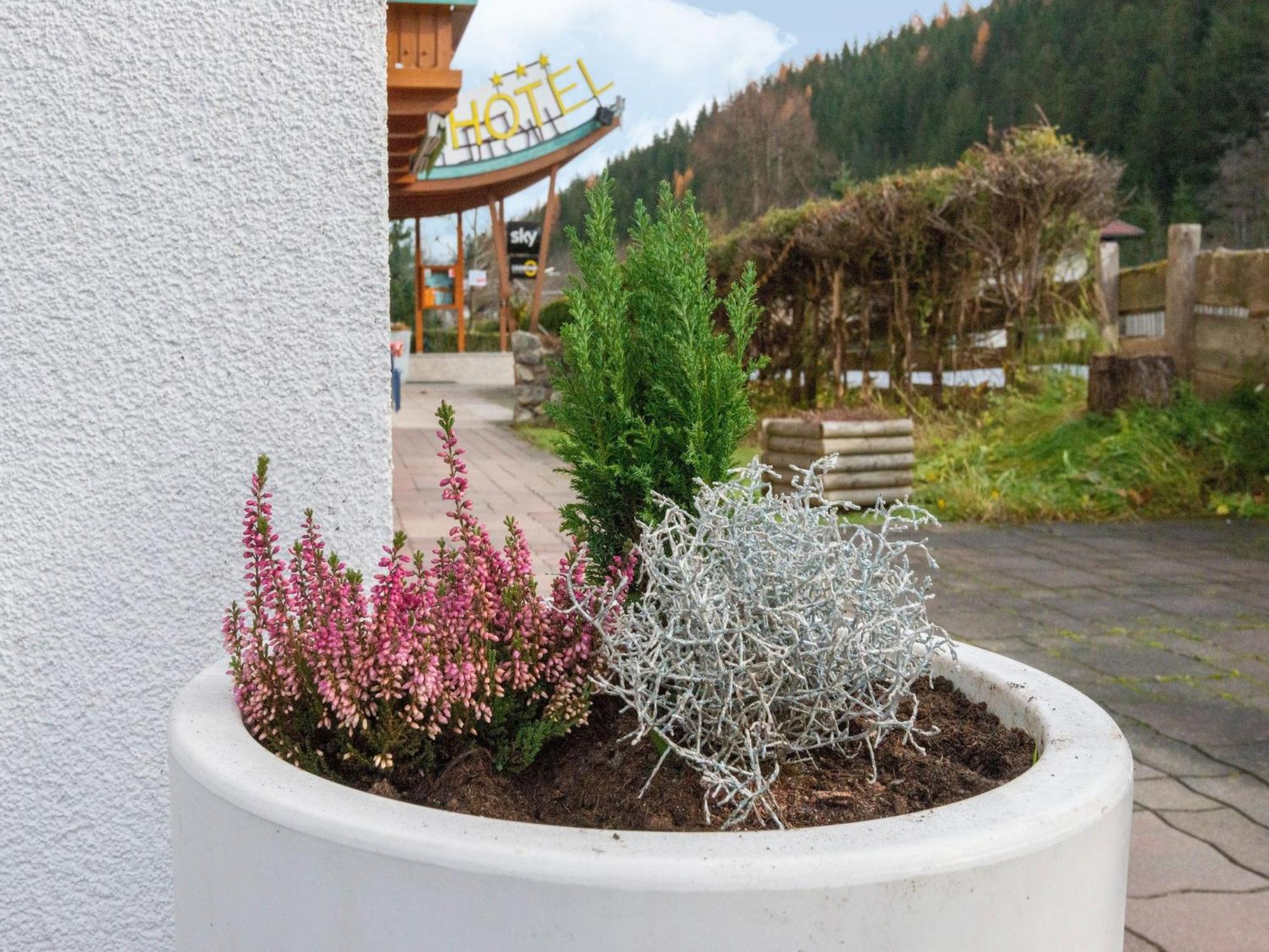 Lovely Apartment With Sauna Ski Storage Pool Terrace Wald im Pinzgau Buitenkant foto